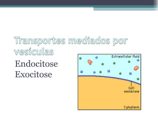 Endocitose 
Exocitose 
 