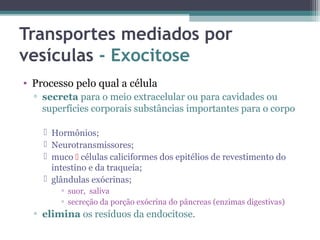 Transportes mediados por 
vesículas - Exocitose 
• Processo pelo qual a célula 
▫ secreta para o meio extracelular ou para cavidades ou 
superfícies corporais substâncias importantes para o corpo 
 Hormônios; 
 Neurotransmissores; 
 muco  células caliciformes dos epitélios de revestimento do 
intestino e da traqueia; 
 glândulas exócrinas; 
▫ suor, saliva 
▫ secreção da porção exócrina do pâncreas (enzimas digestivas) 
▫ elimina os resíduos da endocitose. 
 