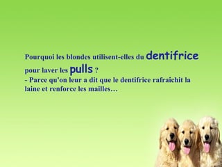 Pourquoi les blondes utilisent-elles du  dentifrice  pour laver les  pulls  ? - Parce qu'on leur a dit que le dentifrice rafraîchit la laine et renforce les mailles… 