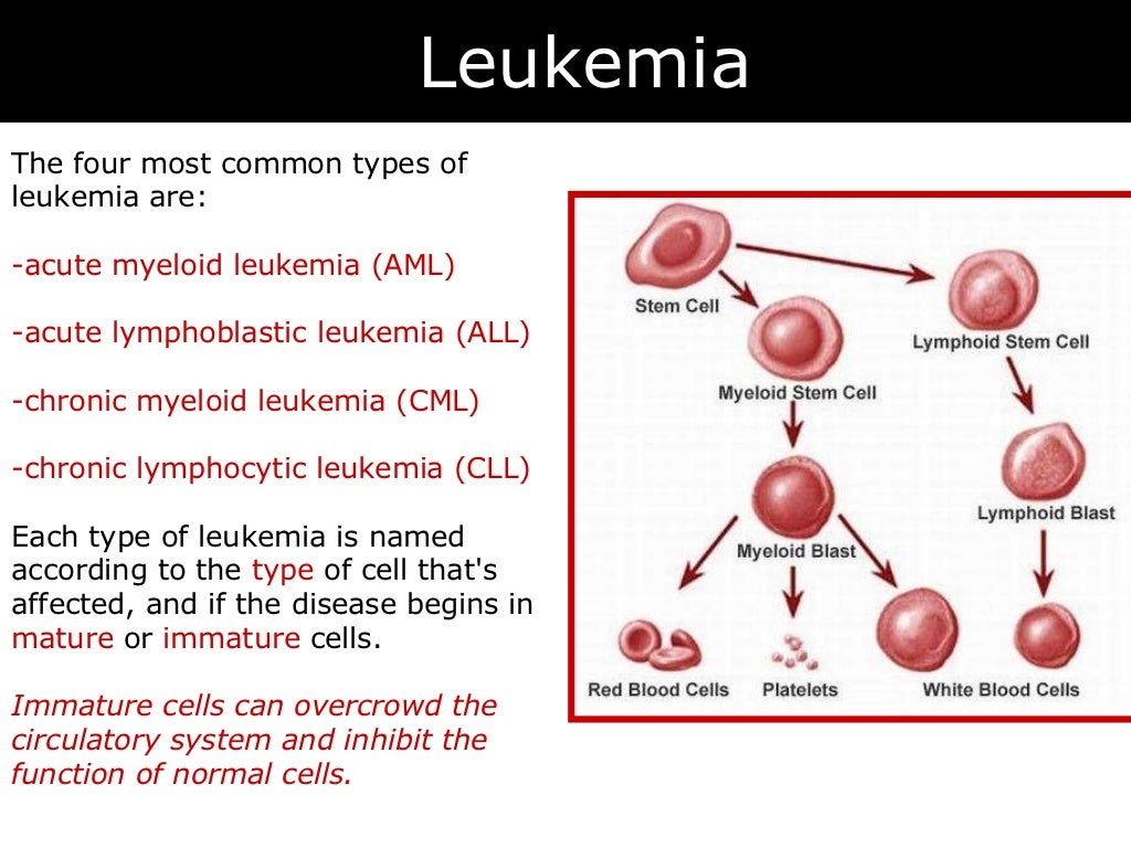07 Blood Disorders 07 blood disorders