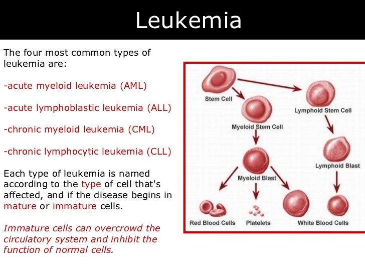 Concentración de la hemoglobina corpuscular media