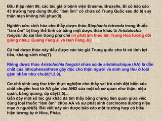 Đầu thập niên 90, các tác giả ở bệnh viện Erasme, Bruxelle, Bỉ có báo cáo
43 trường hợp dùng thuốc “làm ốm” có chứa cỏ Trung Quốc sau đó bị suy
thận mạn không hồi phục(9).
Nghiên cứu sinh hóa cho thấy dược thảo Stephania tetranda trong thuốc
“làm ốm” bị thay thế tình cờ bằng một dược thảo khác là Aristolochia
fangchi do sai lầm trong pha chế (vì phát âm theo tên Trung Hoa tương đối
giống nhau: Guang Fang Ji và Han Fang Ji)(6,8).
Cả hai dược thảo này đều được các tác giả Trung quốc cho là có tính lợi
tiểu, kháng sinh nhẹ(7).
Riêng dược thảo Aristolochia fangchi chứa acide aristolochique (AA) là dẫn
chất của nitrophenanthren gây độc cho thận người và sinh ung thư ở loài
gậm nhấm như chuột(1,3,9).
Cơ chế sinh ung thư trên thực nghiệm cho thấy vai trò sinh đột biến của
chất chuyển hoá từ AA gắn vào AND của một số cơ quan như thận, niệu
quản, bàng quang, dạ dày(3,5)...
Gần đây một số tác giả khác đã tìm thấy bằng chứng liên quan giữa việc
dùng loại thuốc “làm ốm” chứa AA và sự phát sinh carcinoma đường niệu
mạc ở người(6). Bài viết này xin được báo cáo một trường hợp có biểu
hiện tương tự ở Nice, Pháp.
 