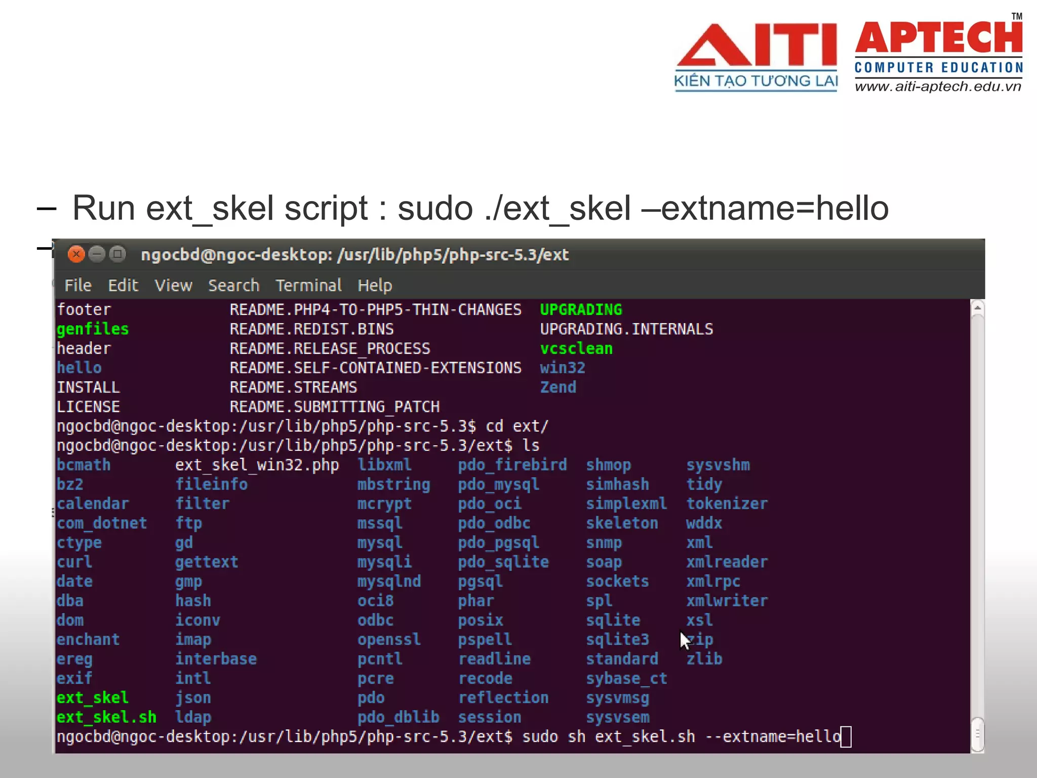   Run ext_skel script : sudo ./ext_skel –extname=hello   