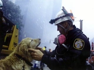 Retrouvez les meilleurs diaporamas PPS
d’humour et de divertissement sur
http://www.diaporamas-a-la-con.com
 