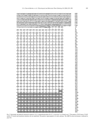 ´      ´
                              C.A. Chacon-Martınez et al. / Physiological and Molecular Plant Pathology 64 (2004) 201–208                                   205




Fig. 2. Nucleotide and deduced aminoacid sequences of a-L-arabinofuranosidase B of F. oxysporum f. sp. dianthi race 2. The putative TATA boxes, CAAT
motifs, CT-stretch and translation initiation site are underlined. The putative signal peptide is in italic and gray. The ABF B conserved domain is indicated in
gray box.
 