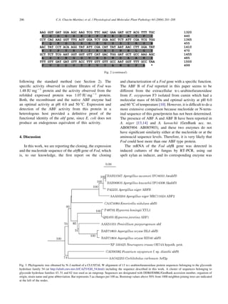 206                                   ´      ´
                             C.A. Chacon-Martınez et al. / Physiological and Molecular Plant Pathology 64 (2004) 201–208




                                                                    Fig. 2 (continued)


following the standard method (see Section 2). The                               and characterization of a Fod gene with a speciﬁc function.
speciﬁc activity observed in culture ﬁltrates of Fod was                         The ABF B of Fod reported in this paper seems to be
1.48 IU mgK1 protein and the activity observed from the                          different from the extracellular a-L-arabinofuranosidase
refolded expressed protein was 1.07 IU mgK1 protein.                             from F. oxysporum F3 isolated from cumin which had a
Both, the recombinant and the native ABF enzyme had                              molecular mass of 66 kDa and optimal activity at pH 6.0
an optimal activity at pH 4.0 and 50 8C. Expression and                          and 60 8C of temperature [10]. However, it is difﬁcult to do a
detection of the ABF activity from this protein in a                             more extensive comparison because nucleotide or N-term-
heterologous host provided a deﬁnitive proof of the                              inal sequence of this gene/protein has not been determined.
functional identity of the abf gene, since E. coli does not                      The presence of ABF A and ABF B have been reported in
produce an endogenous equivalent of this activity.                               A. niger [13,14] and A. kawachii (GenBank acc. no.
                                                                                 AB085904: AB085903), and these two enzymes do not
                                                                                 have signiﬁcant similarity either at the nucleotide or at the
4. Discussion                                                                    aminoacid sequence levels. Therefore, it is very likely that
                                                                                 Fod could host more than one ABF type protein.
   In this work, we are reporting the cloning, the expression                       The mRNA of the Fod abfB gene was detected in
and the nucleotide sequence of the abfB gene of Fod, which                       induced cultures of the fungus by RT-PCR, using oat
is, to our knowledge, the ﬁrst report on the cloning                             spelt xylan as inducer, and its corresponding enzyme was




Fig. 3. Phylogenetic tree obtained by N–J method of a CLUSTAL W alignment of 13 a-L-arabinofuranosidase protein sequences belonging to the glycoside
hydrolase family 54 (at http://afmb.cnrs-mrs.fr/CAZY/GH_54.html) including the sequence described in this work. A cluster of sequences belonging to
glycoside hydrolase families 43, 51 and 62 was used as an outgroup. Sequences are designated with DDBJ/EMBL/GenBank accession number, organism of
origin, strain name and gene abbreviation. Bar represents 5 aa changes per 100 aa. Bootstrap values above 50% from 1000 neighbor-joining trees are indicated
at the left of the nodes.
 