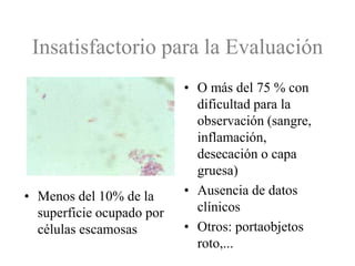 Frotis satisfactorioCélulas endocervicales o metaplásicasSuficientes células escamosas bien conservadas (más del 50 %)No hay:sangreinflamaciónamontonamientodesecación