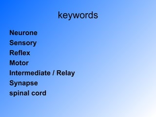 keywords Neurone Sensory Reflex Motor Intermediate / Relay Synapse spinal cord   