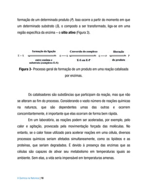 formação de um determinado produto (P). Isso ocorre a partir do momento em que
um determinado substrato (S), o composto a ser transformado, liga-se em uma
região específica da enzima – o sítio ativo (Figura 3).




 Figura 3- Processo geral de formação de um produto em uma reação catalisada
                                      por enzimas.




          Os catalisadores são substâncias que participam da reação, mas que não
se alteram ao fim do processo. Considerando o vasto número de reações químicas
na     natureza,       que   são   dependentes   umas     das   outras   e   ocorrem
concomitantemente, é importante que elas ocorram de forma bem rápida.
          Em um laboratório, as reações podem ser aceleradas, por exemplo, pelo
calor e agitação, provocada pela movimentação forçada das moléculas. No
entanto, se o calor fosse utilizado para acelerar reações em uma célula, diversos
processos químicos seriam afetados simultaneamente, como os lipídeos e as
proteínas, que seriam degradados. É devido à presença das enzimas que as
células são capazes de ativar seu metabolismo em temperaturas iguais ao
ambiente. Sem elas, a vida seria impensável em temperaturas amenas.




A Química na Natureza | 18
 