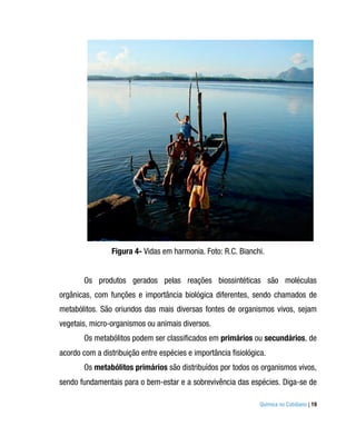Figura 4- Vidas em harmonia. Foto: R.C. Bianchi.


        Os produtos gerados pelas reações biossintéticas são moléculas
orgânicas, com funções e importância biológica diferentes, sendo chamados de
metabólitos. São oriundos das mais diversas fontes de organismos vivos, sejam
vegetais, micro-organismos ou animais diversos.
        Os metabólitos podem ser classificados em primários ou secundários, de
acordo com a distribuição entre espécies e importância fisiológica.
        Os metabólitos primários são distribuídos por todos os organismos vivos,
sendo fundamentais para o bem-estar e a sobrevivência das espécies. Diga-se de

                                                                 Química no Cotidiano | 19
 