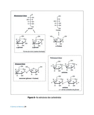 Figura 6- As estruturas dos carboidratos



A Química na Natureza | 24
 