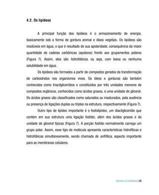 4.2. Os lipídeos


       A principal função dos lipídeos é o armazenamento de energia,
basicamente sob a forma de gordura animal e óleos vegetais. Os lipídeos são
insolúveis em água, o que é resultado de sua apolaridade, consequência da maior
quantidade de cadeias carbônicas (apolares) frente aos grupamentos polares
(Figura 7). Assim, eles são hidrofóbicos, ou seja, com baixa ou nenhuma
solubilidade em água.
       Os lipídeos são formados a partir de compostos gerados da transformação
de carboidratos nos organismos vivos. Os óleos e gorduras são também
conhecidos como triacilglicerídios e constituídos por três unidades menores de
compostos orgânicos, conhecidos como ácidos graxos, e uma unidade de glicerol.
Os ácidos graxos são classificados como saturados ou insaturados, pela ausência
ou presença de ligações duplas ou triplas na estrutura, respectivamente (Figura 7).
       Outro tipo de lipídeo importante é o fosfolipídeo, um diacilglicerídio que
contém em sua estrutura uma ligação fosfato, além dos ácidos graxos e da
unidade de glicerol típicas (Figura 7). A porção fosfato normalmente carrega um
grupo polar. Assim, esse tipo de molécula apresenta características hidrofílicas e
hidrofóbicas simultaneamente, sendo chamada de anfifílica, aspecto importante
para as membranas celulares.




                                                                Química no Cotidiano | 25
 