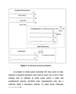 Figura 7- As estruturas químicas dos lipídeos


          As unidades de ácidos graxos insaturados têm baixo ponto de fusão,
enquanto os saturados apresentam maior ponto de fusão. Isso se deve à maior
interação entre as moléculas de ácidos graxos quando a cadeia está
completamente saturada, permitindo maior empacotamento entre elas e
conferindo rigidez à temperatura ambiente. Os ácidos graxos insaturados
A Química na Natureza | 26
 