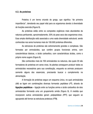 4.3. As proteínas


        Proteína é um termo oriundo do grego, que significa “de primeira
importância”, denotando seu papel vital para os organismos devido à diversidade
de funções exercida (Figura 9).
        As proteínas estão entre os compostos orgânicos mais abundantes da
natureza perfazendo, aproximadamente, 50% do peso seco dos organismos vivos.
Essa ampla distribuição está associada a uma vasta diversidade estrutural, sendo
conhecidas nos seres humanos mais de 100.000 proteínas diferentes.
        As estruturas de proteínas são extremamente grandes e complexas. São
formadas por aminoácidos, que contêm grupos funcionais amina, com
características básicas, e ácido carboxílico, com características ácidas, como o
próprio nome sugere (Figura 9).
        São conhecidos mais de 700 aminoácidos na natureza, dos quais 20 são
formadores de proteínas em seres vivos. As plantas conseguem produzir todos os
aminoácidos necessários para sua constituição, enquanto os animais produzem
somente alguns dos essenciais, precisando buscar o complemento na
alimentação.
        A formação de proteínas segue um esquema único, no qual aminoácidos
(AA) se ligam em combinações diversas formando peptídeos (PT), através de
ligações peptídicas – ligação entre as funções amina e ácido carboxílico de dois
aminoácidos formando uma um grupamento amida (Figura 9). À medida que
incorporam outros aminoácidos geram polipeptídeos (PPT), que seguem se
agrupando até formar as estruturas proteicas (PTN).


                                                              Química no Cotidiano | 29
 