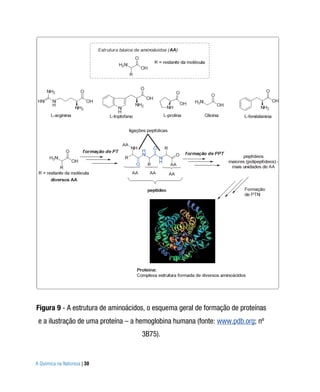 Figura 9 - A estrutura de aminoácidos, o esquema geral de formação de proteínas
 e a ilustração de uma proteína – a hemoglobina humana (fonte: www.pdb.org; nº
                                    3B75).


A Química na Natureza | 30
 