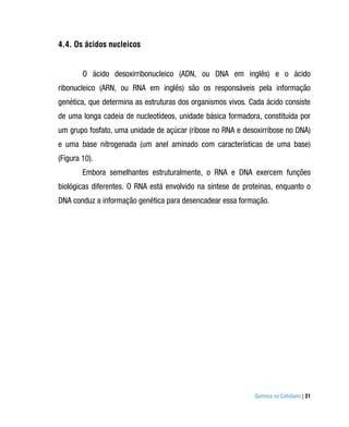 4.4. Os ácidos nucleicos


        O ácido desoxirribonucleico (ADN, ou DNA em inglês) e o ácido
ribonucleico (ARN, ou RNA em inglês) são os responsáveis pela informação
genética, que determina as estruturas dos organismos vivos. Cada ácido consiste
de uma longa cadeia de nucleotídeos, unidade básica formadora, constituída por
um grupo fosfato, uma unidade de açúcar (ribose no RNA e desoxirribose no DNA)
e uma base nitrogenada (um anel aminado com características de uma base)
(Figura 10).
        Embora semelhantes estruturalmente, o RNA e DNA exercem funções
biológicas diferentes. O RNA está envolvido na síntese de proteínas, enquanto o
DNA conduz a informação genética para desencadear essa formação.




                                                             Química no Cotidiano | 31
 