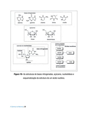 Figura 10- As estruturas de bases nitrogenadas, açúcares, nucleotídeos e
                     esquematização da estrutura de um ácido nucléico.




A Química na Natureza | 32
 