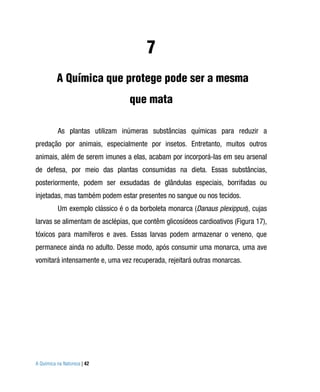 7
          A Química que protege pode ser a mesma
                                  que mata

          As plantas utilizam inúmeras substâncias químicas para reduzir a
predação por animais, especialmente por insetos. Entretanto, muitos outros
animais, além de serem imunes a elas, acabam por incorporá-las em seu arsenal
de defesa, por meio das plantas consumidas na dieta. Essas substâncias,
posteriormente, podem ser exsudadas de glândulas especiais, borrifadas ou
injetadas, mas também podem estar presentes no sangue ou nos tecidos.
          Um exemplo clássico é o da borboleta monarca (Danaus plexippus), cujas
larvas se alimentam de asclépias, que contêm glicosídeos cardioativos (Figura 17),
tóxicos para mamíferos e aves. Essas larvas podem armazenar o veneno, que
permanece ainda no adulto. Desse modo, após consumir uma monarca, uma ave
vomitará intensamente e, uma vez recuperada, rejeitará outras monarcas.




A Química na Natureza | 42
 