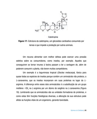 Figura 17- Estrutura da calotropina, um glicosídeo cardioativo consumido por
               larvas e que impede a predação por outros animais.




       Um recurso alimentar com melhor defesa pode exercer uma pressão
seletiva sobre os consumidores, como insetos, por exemplo. Aqueles que
conseguirem se tornar imunes à toxina passam a ter a vantagem de, além de
poderem consumir a planta, não terem muitos competidores.
       Um exemplo é a leguminosa tropical (Dioclea metacarpa), tóxica para
quase todas as espécies de insetos porque contém um aminoácido não proteico, a
L-canavanina, que os insetos incorporam em suas proteínas no lugar da L-
arginina. A diferença entre esses dois aminoácidos é a substituição de um grupo
metileno −CH2 na L-arginina por um átomo de oxigênio na L-canavanina (Figura
18). Lembrando que os aminoácidos são as unidades formadoras de proteínas, e
como estas têm funções fisiológicas diversas, a alteração da sua estrutura pode
afetar as funções vitais de um organismo, gerando toxicidade.



                                                                Química no Cotidiano | 43
 