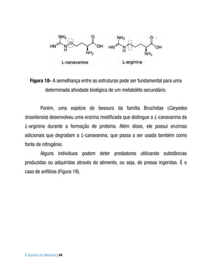 Figura 18- A semelhança entre as estruturas pode ser fundamental para uma
              determinada atividade biológica de um metabólito secundário.


          Porém, uma espécie de besouro da família Bruchidae (Caryedes
brasiliensis) desenvolveu uma enzima modificada que distingue a L-canavanina da
L-arginina durante a formação de proteína. Além disso, ele possui enzimas
adicionais que degradam a L-canavanina, que passa a ser usada também como
fonte de nitrogênio.
          Alguns indivíduos podem deter predadores utilizando substâncias
produzidas ou adquiridas através do alimento, ou seja, de presas ingeridas. É o
caso de anfíbios (Figura 19).




A Química na Natureza | 44
 