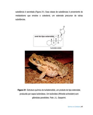 substância é secretada (Figura 21). Essa classe de substâncias é proveniente do
metabolismo que envolve o colesterol, um esteroide precursor de várias
substâncias.




  Figura 21- Estrutura química do bufadienolido, um produto do tipo esteroidal,
    produzido por sapos bufonídeos. Um bufonídeo (Rhinella schneideri) com
                   glândulas paratóides. Foto: J.L. Gasparini.


                                                                 Química no Cotidiano | 47
 
