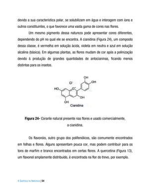 devido a sua característica polar, se solubilizam em água e interagem com íons e
outros constituintes, o que favorece uma vasta gama de cores nas flores.
          Um mesmo pigmento dessa natureza pode apresentar cores diferentes,
dependendo do pH no qual ele se encontra. A cianidina (Figura 24), um composto
dessa classe, é vermelha em solução ácida, violeta em neutra e azul em solução
alcalina (básica). Em algumas plantas, as flores mudam de cor após a polinização
devido à produção de grandes quantidades de antocianinas, ficando menos
distintas para os insetos.




       Figura 24- Corante natural presente nas flores e usado comercialmente,
                                    a cianidina.


          Os flavonóis, outro grupo dos polifenólicos, são comumente encontrados
em folhas e flores. Alguns apresentam pouca cor, mas podem contribuir para os
tons de marfim e branco encontrados em certas flores. A quercetina (Figura 13),
um flavonol amplamente distribuído, é encontrada na flor do trevo, por exemplo.




A Química na Natureza | 54
 