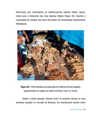 feiras-livres com comerciantes de matérias-primas naturais (folhas, cascas,
raízes) para o tratamento das mais diversas aflições (Figura 26), havendo a
necessidade de ressaltar que essas não podem ser consideradas medicamentos
fitoterápicos.




      Figura 26 – Foto ilustrativa da exploração de matérias-primas vegetais,
         especialmente em regiões do interior do Brasil. Foto: F.S. Emery.


        Desde o século passado, diversos foram os produtos naturais ou seus
derivados lançados no mercado de fármacos. Um levantamento recente indica

                                                                Química no Cotidiano | 57
 