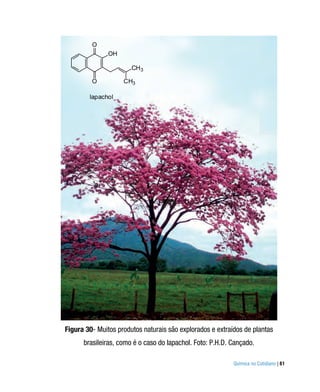 O
               OH

                       CH 3

         O          CH3

        lapachol




Figura 30- Muitos produtos naturais são explorados e extraídos de plantas
      brasileiras, como é o caso do lapachol. Foto: P.H.D. Cançado.

                                                           Química no Cotidiano | 61
 