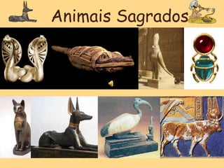 Animais Sagrados
 