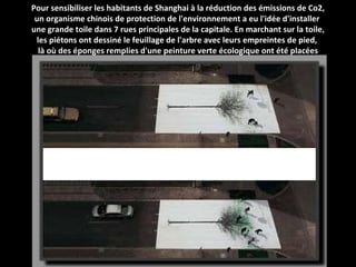 Pour sensibiliser les habitants de Shanghai à la réduction des émissions de Co2, un organisme chinois de protection de l'environnement a eu l'idée d'installer  une grande toile dans 7 rues principales de la capitale. En marchant sur la toile, les piétons ont dessiné le feuillage de l'arbre avec leurs empreintes de pied,  là où des éponges remplies d'une peinture verte écologique ont été placées 