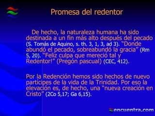 Promesa del redentor De hecho, la naturaleza humana ha sido destinada a un fin más alto después del pecado  (S. Tomás de Aquino, s. th. 3, 1, 3, ad 3).  “Donde abundó el pecado, sobreabundó la gracia”  (Rm 5, 20).  “Feliz culpa que mereció tal y Redentor!” (Pregón pascual)  (CEC, 412) . Por la Redención hemos sido hechos de nuevo partícipes de la vida de la Trinidad. Por eso la elevación es, de hecho, una “nueva creación en Cristo”  (2Co 5,17; Ga 6,15). 