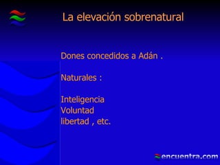 La elevación sobrenatural Dones concedidos a Adán . Naturales : Inteligencia Voluntad libertad , etc. 