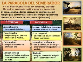 «Y les habló muchas cosas por parábolas, diciendo:
He aquí, el sembrador salió a sembrar» (Mateo 13:3)
En esta parábola podemos observar las estratagemas del
maligno para contrarrestar la obra del evangelio (la semilla)
plantada en el corazón de cada persona (el terreno).
EL TERRENO
Junto al camino
• No entiende la Palabra.
En pedregales
• Acepta con gozo, pero no
ahonda en la Palabra.
Entre espinos
• Acepta la Palabra y se
afirma en ella.
En buen terreno
• Acepta la Palabra, se afirma
constantemente en ella y
da fruto.
LA SEMILLA
Las aves del cielo se la comen
• El malo arrebata la semilla.
El sol la quemó
• La aflicción o los problemas le
hacen abandonar.
Las espinas la ahogaron
• Con el tiempo, los afanes y el
amor al dinero le apartan de la
verdad.
Dio fruto
• Ninguna trampa del maligno
puede separarla de Jesús.
 