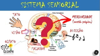 5
VISÃO
MEDIUNIDADE
(sentido psíquico)
 