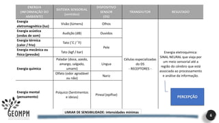 6
ENERGIA
(INFORMAÇÃO DO
AMBIENTE)
SISTEMA SENSORIAL
(sentidos)
DISPOSITIVO
SENSOR
(DS)
TRANSDUTOR RESULTADO
Energia
eletromagnética (luz)
Visão (lúmens) Olhos
Células especializadas
do DS
- RECEPTORES -
Energia eletroquímica:
SINAL NEURAL que viaja por
um meio sensorial até a
região do cérebro que está
associada ao processamento
e análise da informação.
Energia acústica
(ondas de som)
Audição (dB) Ouvidos
Energia térmica
(calor / frio)
Tato (˚C / ˚F)
Pele
Energia mecânica ou
física (pressão)
Tato (kgf / bar)
Energia química
Paladar (doce, azedo,
amargo, salgado,
umami)
Língua
Olfato (odor agradável
ou não)
Nariz
Energia mental
(pensamento)
Psíquico (Sentimentos
e ideias)
Pineal (epífise)
LIMIAR DE SENSIBILIDADE: intensidades mínimas
PERCEPÇÃO
 