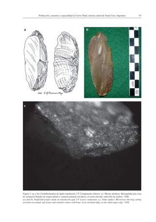 93Producción, consumo y espacialidad en Cueva Túnel, meseta central de Santa Cruz, Argentina
Figura 3. (a) y (b). Cuchillo/raedera de ópalo translúcido. CT, Componente inferior. (c). Mismo artefacto. Micropulido por corte
de sustancias blandas de origen animal y contacto puntual con hueso, en arista elevada, sobre filo de raedera. 150X.
(a) and (b). Knife/sidescraper made on translucent opal. CT. Lower component. (c). Same artifact. Microwear showing cutting
activities on animal soft tissues and isolated contact with bone, in an elevated ridge, on the sidescraper edge. 150X.
a b
c
 
