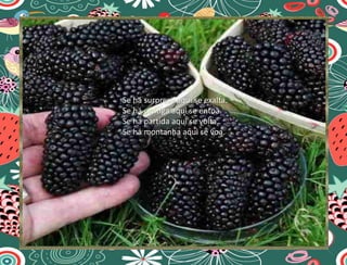 Se há surpresa aqui se exalta.
Se há cantiga aqui se entoa.
Se há partida aqui se volta.
Se há montanha aqui se voa.
 