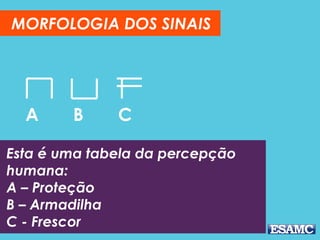 #PARTE 4
MORFOLOGIA
 