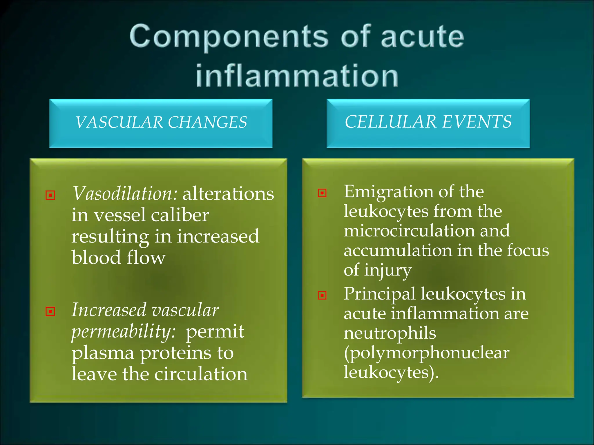 VASCULAR CHANGES CELLULAR EVENTS
 Vasodilation: alterations
in vessel caliber
resulting in increased
blood flow
 Increased vascular
permeability: permit
plasma proteins to
leave the circulation
 Emigration of the
leukocytes from the
microcirculation and
accumulation in the focus
of injury
 Principal leukocytes in
acute inflammation are
neutrophils
(polymorphonuclear
leukocytes).
 