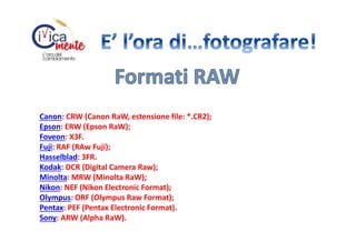 Canon: CRW (Canon RaW, estensione file: *.CR2);
Epson: ERW (Epson RaW);
Foveon: X3F.
Fuji: RAF (RAw Fuji);
Hasselblad: 3FR.
Kodak: DCR (Digital Camera Raw);
Minolta: MRW (Minolta RaW);
Nikon: NEF (Nikon Electronic Format);
Olympus: ORF (Olympus Raw Format);
Pentax: PEF (Pentax Electronic Format).
Sony: ARW (Alpha RaW).

 