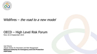Wildifires – the road to a new model
José Oliveira
Deputy Diretor for Prevention and Risk Management
National Authority for Emergency and Civil Protection
PORTUGAL
OECD – High Level Risk Forum
Paris 18-19 September 2019
 