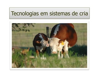 Tecnologias em sistemas de cria
 