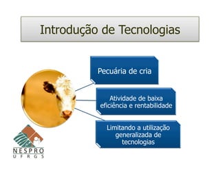 Introdução de Tecnologias


          Pecuária de cria


              Atividade de baixa
          eficiência e rentabilidade


            Limitando a utilização
               generalizada de
                 tecnologias

                               (Barcellos et al., 2007)
 