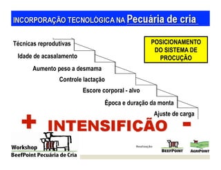Técnicas reprodutivas                             POSICIONAMENTO
                                                   DO SISTEMA DE
 Idade de acasalamento                              PROCUÇÃO
       Aumento peso a desmama
                Controle lactação
                         Escore corporal - alvo
                                 Época e duração da monta
                                                  Ajuste de carga
 