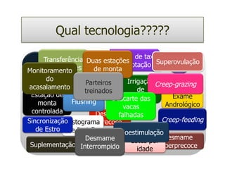 Qual tecnologia?????

      Transferência Duas estações de taxaSuperovulação
              Diagnóstico
                               Ajuste
IATF de embriões                 de lotação        IA
MonitoramentoPrenhez monta
                       de
       do                          Irrigação Creep-grazing
                    Parteiros
 acasalamento                          de
                   treinados
 Estação de                        Pastagens      Exame
               Flushing       Descarte das
    monta                                       Andrológico
                                  vacas
  controlada           Desmame  falhadas
SincronizaçãoHistogramaPrecoce                 Creep-feeding
   de Estro de Parição          Bioestimulação
                    Desmame          Lotes por Desmame
 Suplementação Interrompido
                                       idade Hiperprecoce
 