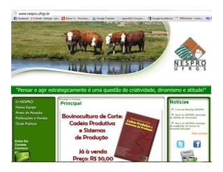 www.nespro.ufrgs.br




                       Percepções finais



"Pensar e agir estrategicamente é uma questão de criatividade, dinamismo e atitude!"
 