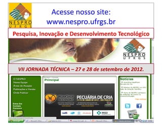 Acesse	
  nosso	
  site:	
  
                    www.nespro.ufrgs.br	
  
Pesquisa,	
  Inovação	
  e	
  Desenvolvimento	
  Tecnológico	
  




  VII	
  JORNADA	
  TÉCNICA	
  –	
  27	
  e	
  28	
  de	
  setembro	
  de	
  2012.	
  
 