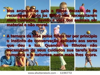 Nos animais os pais e filhos deixam de se reconhecer, após os filhos não necessitarem mais cuidados, devido a vida dos animais ser material e não moral.  A ternura da mãe pelos filhos ter por principio o instinto de conservação aplicado aos seres que deu a luz. Quando os filhotes não necessitam de seus cuidados sua tarefa esta cumprida e a natureza nada mais lhes cobra. 