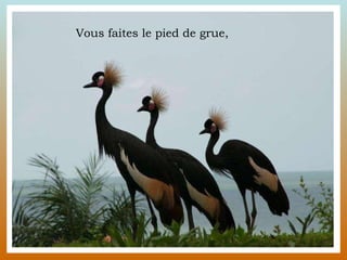 Vous faites le pied de grue,  
