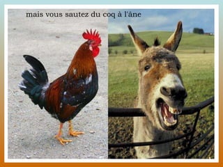 mais vous sautez du coq à l'âne  